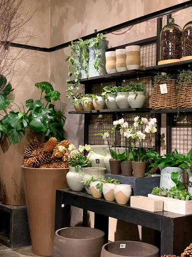 Winston Flowers - Concord, 32 Main St #5, Concord, MA 01742, USA, 