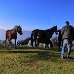 Photo n°2 de l'avis de Jude.e fait le 19/10/2021 à 13:57 sur le  Agriturismo Alpe Di Lemna à Lemna
