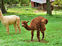 SkyView Photography of the Triad - Photo 9 - Car repair in Greensboro, NC, Greensboro