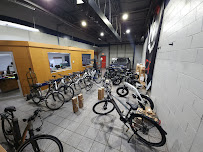Spins Mobile Bicycle Repair - Photo 5 - Car repair in Philadelphia, PA, Philadelphia