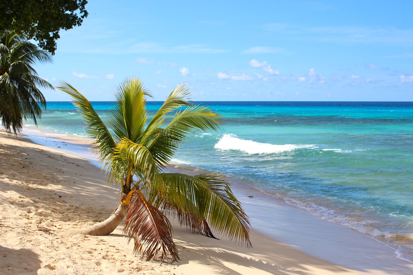 Foto di Fosters beach con una costa spaziosa