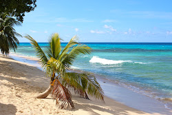 Foto di Fosters beach con una costa spaziosa