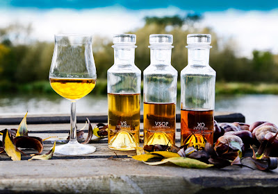 Cognac Pierre Lecat à Saint-Fraigne