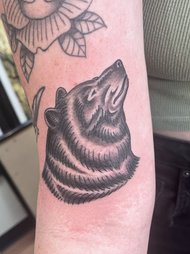 Explore nova tattoo ideas, creative tattoo ideas in Juneau, available at High Tide Tattoo