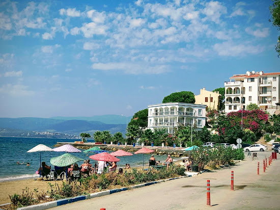Monastery Beach