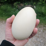 Photo n°5 de l'avis de Chris.. fait le 11/09/2022 à 19:14 sur le  Pension Bergpension Maroldhof à Warngau