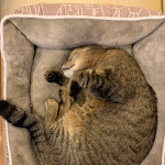 Photo n°1 de l'avis de Tom.u fait le 15/04/2024 à 19:46 sur le  Excelsior Palace Hotel à Rapallo