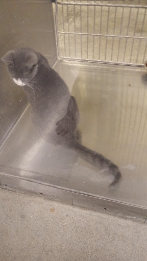 Pet Supply Store «PetSmart», reviews and photos, 7505 E 35th Ave, Denver, CO 80238, USA