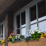 Photo n°4 de l'avis de Sascha.m fait le 29/04/2024 à 07:35 sur le  Hausberg Bad Lauterberg à Bad Lauterberg