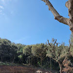 Photo n°2 de l'avis de Alex.o fait le 23/03/2024 à 12:47 sur le  Golf Club Punta Ala à Punta Ala