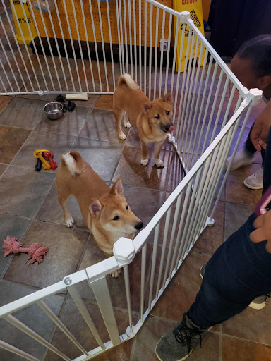 Pet Store «Pets Plus Inc», reviews and photos, 2610 Jefferson Davis Hwy, Stafford, VA 22554, USA