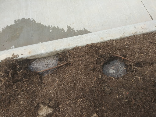 Hardware Store «Westlake Ace Hardware», reviews and photos, 2054 NW Topeka Blvd, Topeka, KS 66608, USA