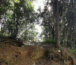 Outeniqua trail photo