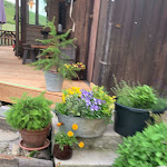 Photo n°1 de l'avis de Maryana.a fait le 18/06/2023 à 20:13 sur le  Farmhouse La Pausa à Pieve di Cadore