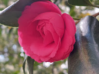 Moffett Road Tax $ervice - Photo 9 - Car repair in Mobile, AL, Mobile