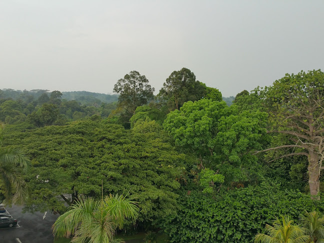 Vibrance @ Yishun - Singapore