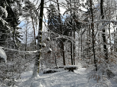 Findling Lengnauer Wald
