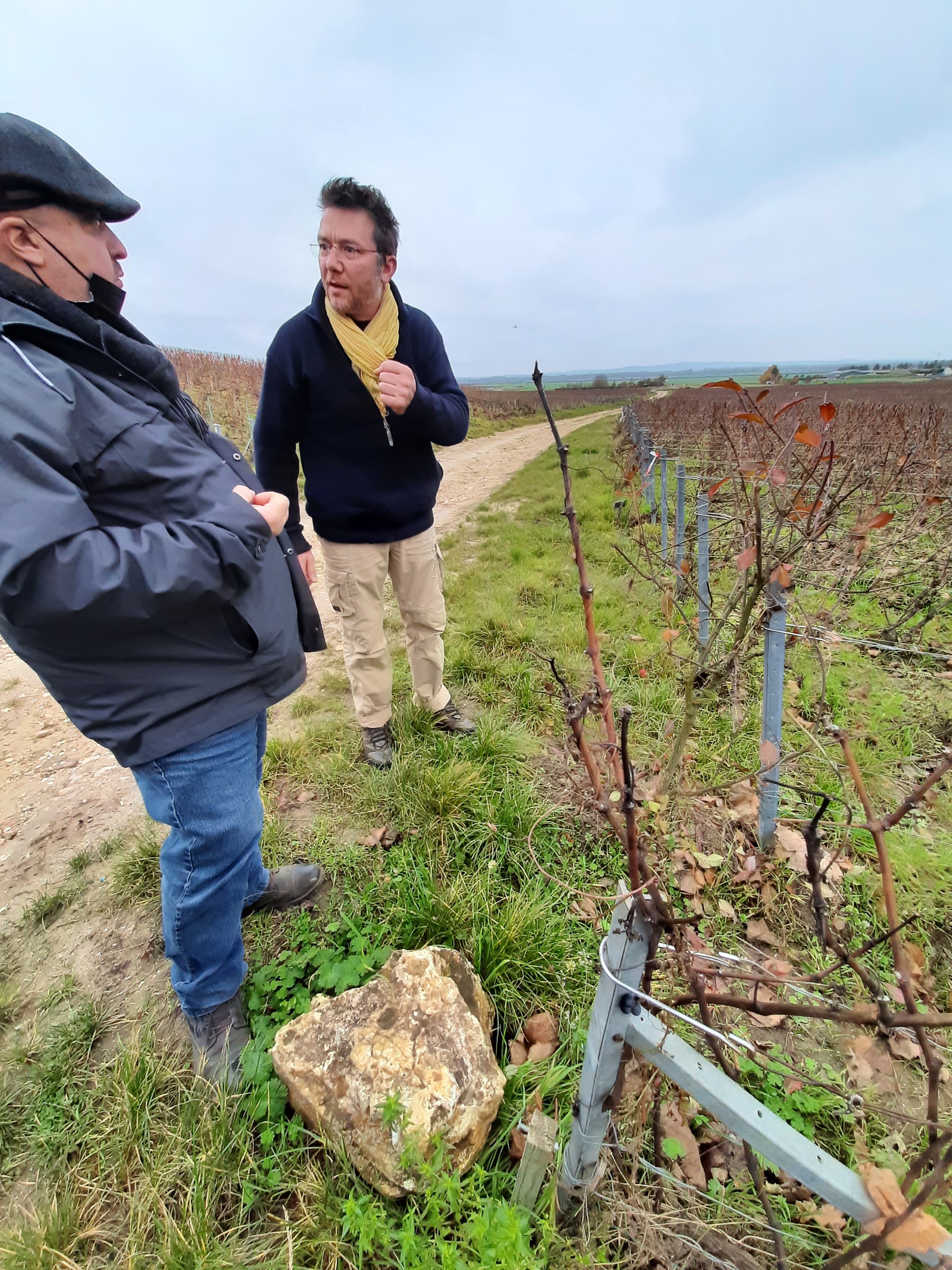 Photo n° 43 de l'avis de Stefano.a fait le 15/11/2021 à 18:24