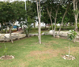 Ceiba de Mayo Park photo