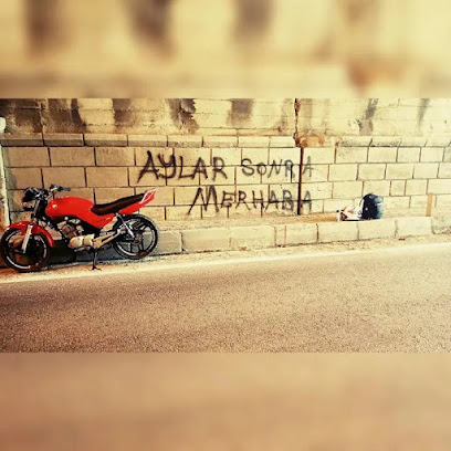 Aysel günal rezidans