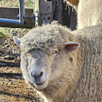 Photo n°10 de l'avis de Christoph.r fait le 01/02/2024 à 22:16 sur le  Tier-Erlebnispark Bell à Bell