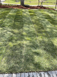 O&R Landscaping & Construction LLC - Photo 3 - Car repair in , Boston