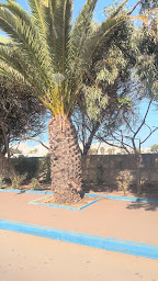 Photo n°11 de Essaouira à Paris ()