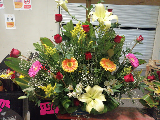 Floreria Mi Lupita – Guadalupe