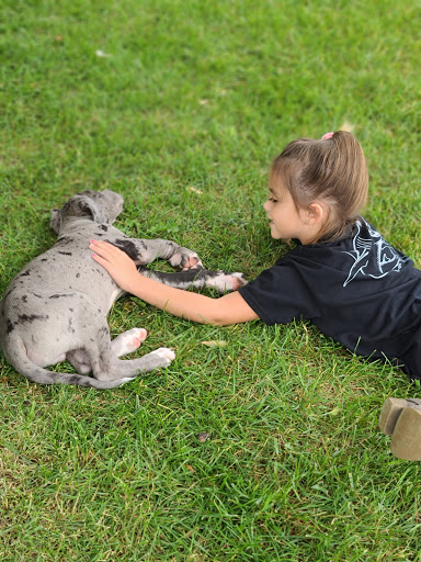 Pet Store «PetSmart», reviews and photos, 10451 Baltimore St NE, Blaine, MN 55449, USA