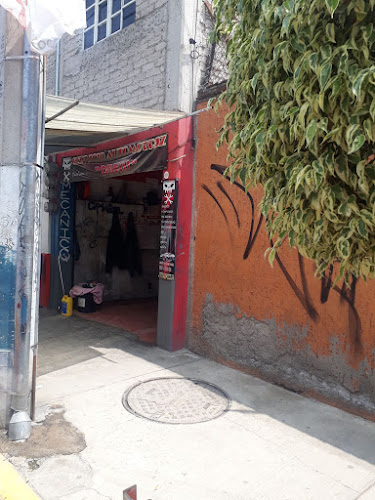 Mecánica en General Chelis