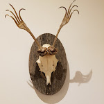 Photo n°1 de l'avis de Ingo.o fait le 14/01/2019 à 18:56 sur le  Mariandl‘s Hofcafé à Dasing