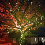 Photo n°2 de l'avis de Isabell.c fait le 21/10/2023 à 20:35 sur le  Tier-Erlebnispark Bell à Bell