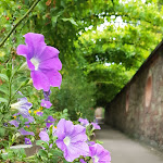 Photo n°2 de l'avis de Knut.r fait le 27/09/2019 à 10:57 sur le  Zum Goldenen Ochsen à Aschaffenburg