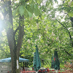 Photo n°1 de l'avis de Jens.i fait le 03/05/2024 à 20:25 sur le  Gimbacher Hof à Kelkheim