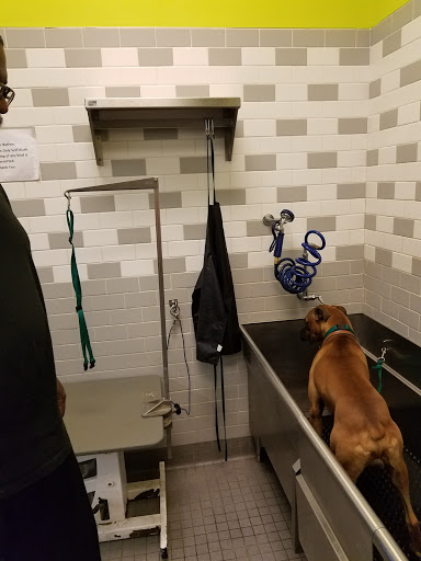 Pet Supply Store «Petco Animal Supplies», reviews and photos, 4480 S Cobb Dr B, Smyrna, GA 30080, USA