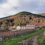 Photo n°20 de l'avis de Sven.a fait le 29/12/2018 à 11:01 sur le  Wohlfühlhotel Alte Rebschule à Rhodt unter Rietburg