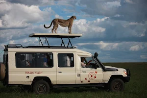 Wildlife Safari Kenya Ltd image