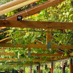 Photo n°9 de l'avis de Maria.o fait le 14/08/2019 à 12:54 sur le  Bamboo & Coconut - by Lago dos Cisnes - ESPAÇOS DE LAZER à Braga