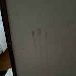 Photo n°1 de l'avis de Mattia.l fait le 10/05/2024 à 10:46 sur le  Hotel Residence Guido Reni à Turin