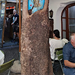 Photo n°2 de l'avis de paola.o fait le 03/09/2023 à 16:05 sur le  Forsterbräu Meran à Merano