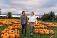 Moments Captured CNY - Photo 8 - Car repair in Syracuse, NY, Syracuse