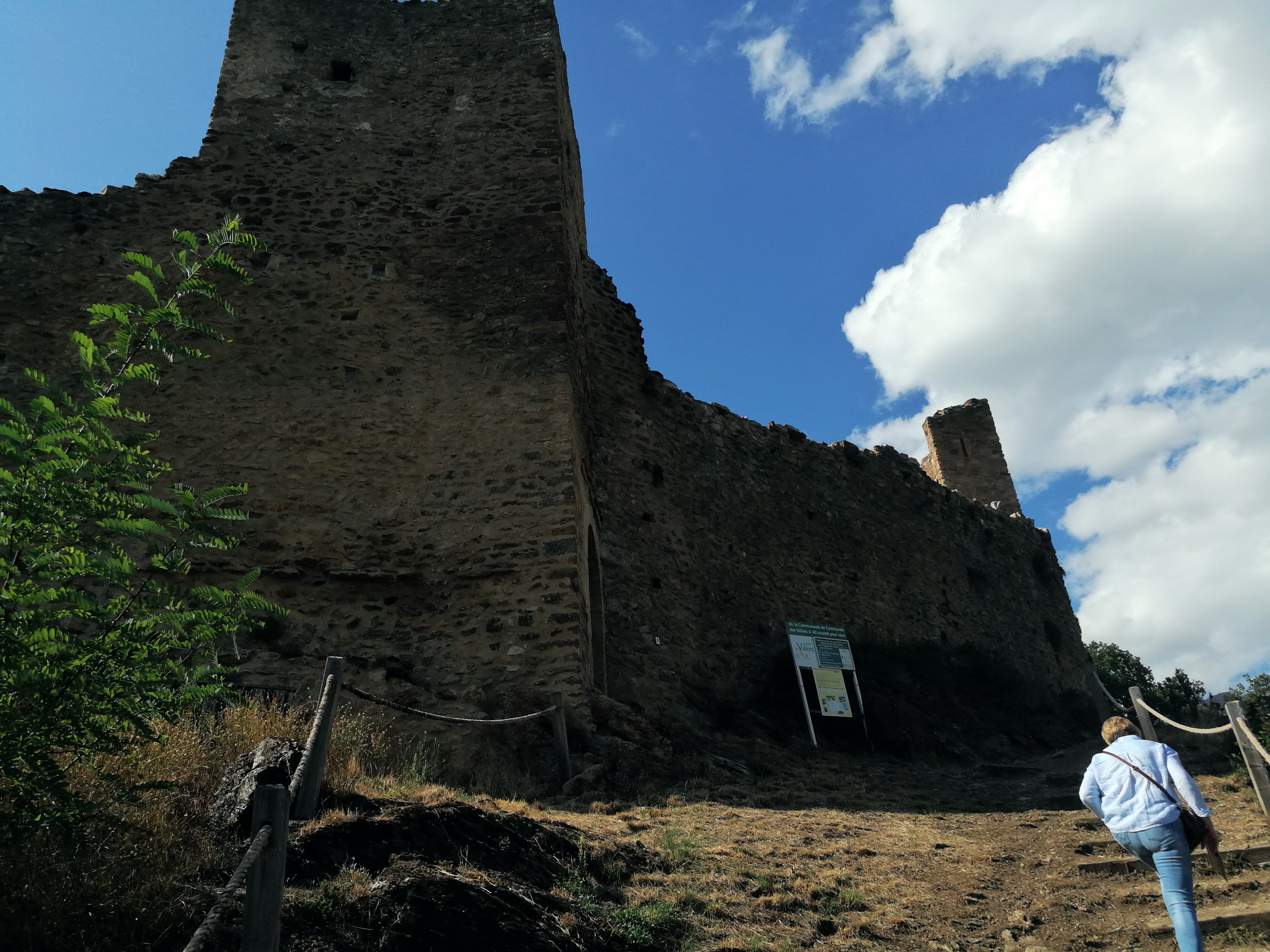 Photo n° 6 de l'avis de Fauvel.l fait le 31/08/2022 à 10:45