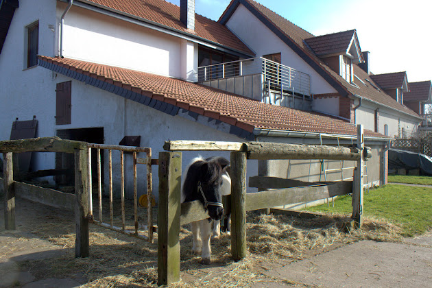 Extérieur Holiday apartment Fewo Wille 32257 Bünde
