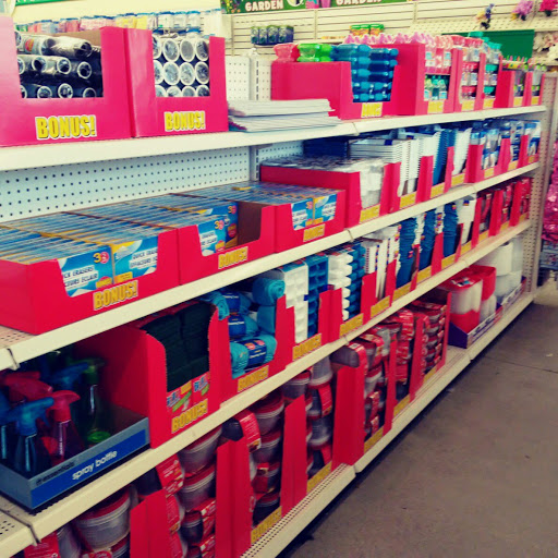 Dollar Store «Dollar Tree», reviews and photos, 8715 Dallas Acworth Hwy, Dallas, GA 30132, USA