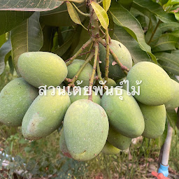 สวนเต้ยพันธุ์ไม้