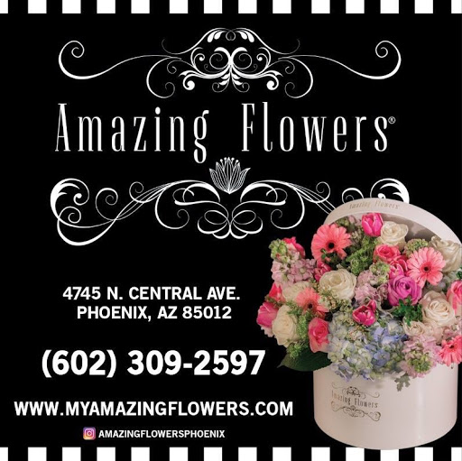 Florist «Amazing Flowers», reviews and photos, 4745 N Central Ave, Phoenix, AZ 85012, USA