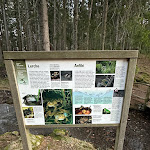 Photo n°9 de l'avis de A. fait le 25/12/2023 à 20:59 sur le  Hotel Sulfner à Santa Caterina