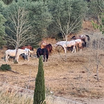 Photo n°7 de l'avis de Ralf.i fait le 10/07/2022 à 11:12 sur le  Podere Albereto à Buonconvento