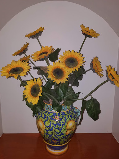 Shopping Mall «Oakdale Village Shopping Center», reviews and photos, 8301 3rd St N, St Paul, MN 55128, USA