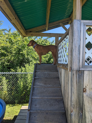 Pink Bean Coffee - SOMERSET by null